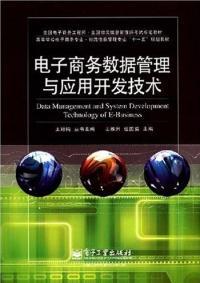 電子商務(wù)數(shù)據(jù)管理與應(yīng)用開發(fā)技術(shù)探析
