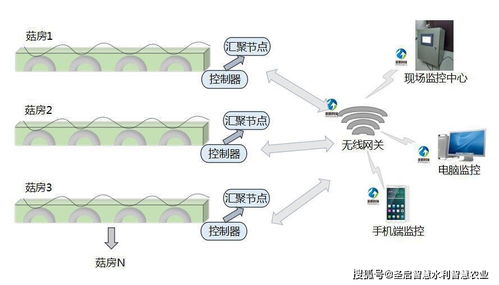 物聯(lián)網(wǎng)技術(shù)賦能產(chǎn)業(yè)升級 四川智能食用菌菇房管理系統(tǒng)助力精準(zhǔn)脫貧